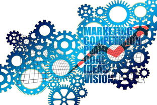 星空体育-中国篮球职业联赛市场营销策略分析，篮球的市场营销